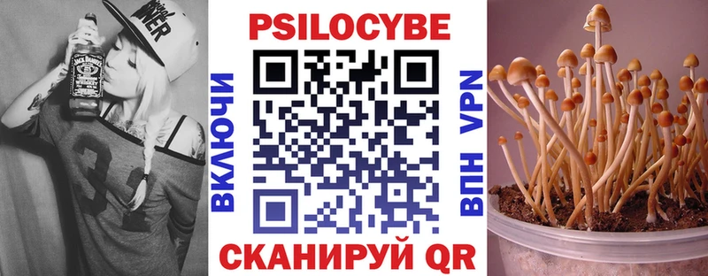 Псилоцибиновые грибы Cubensis  где купить   Игра 